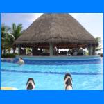 Vacation 006.jpg